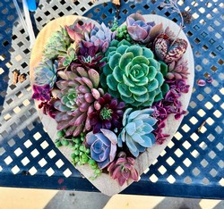 Succulent Heart Workshop