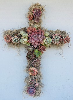 Mother's Day Heart or Cross Succulent