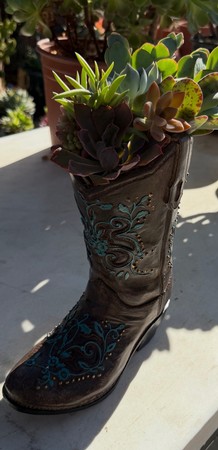 Broken Pot or Country Boot Copy