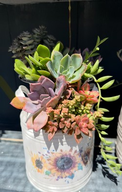 Succulent Workshop