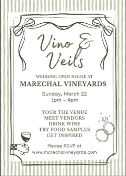 RSVP Vino and Veils